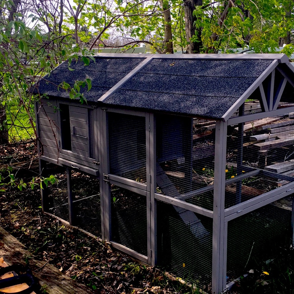 Chicken house coop